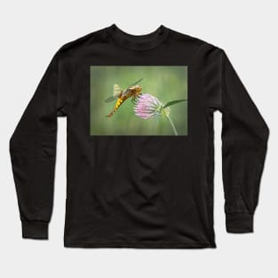 Broad-bodied Chaser female on red clover flower Long Sleeve T-Shirt